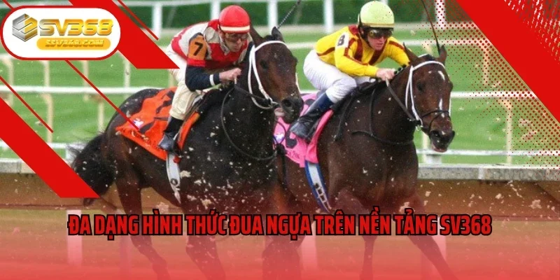 Đa dạng hình thức đua ngựa trên nền tảng SV368