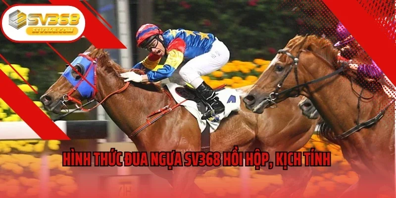 Hình thức đua ngựa SV368 hồi hộp, kịch tính 